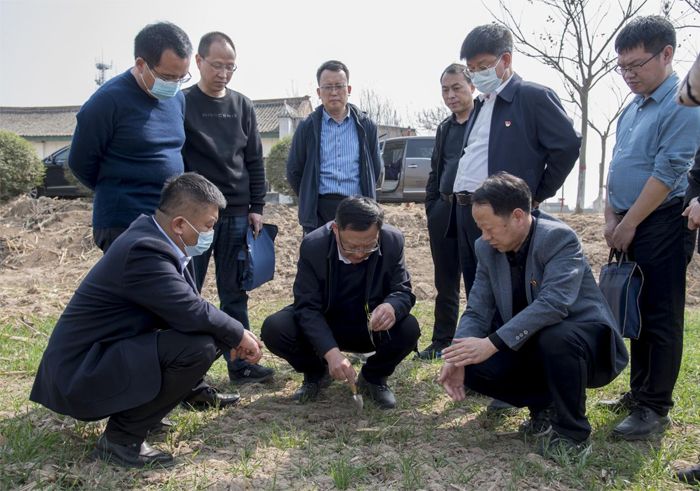 省农业农村厅在临渭区和华州区扎实开展千名干部包镇进村促春管活动