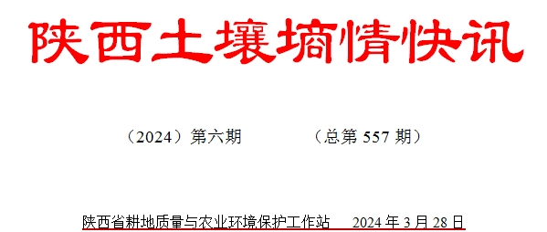 123.jpg
