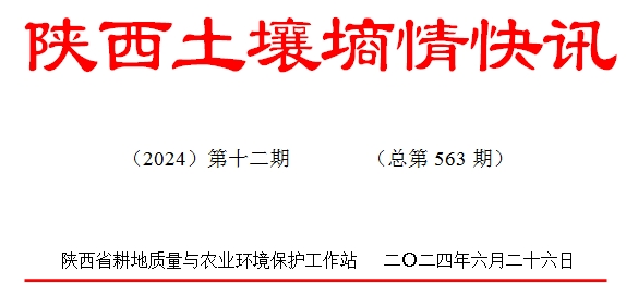 123.jpg