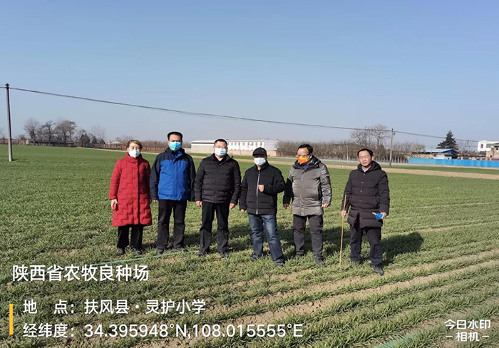 图片4.png