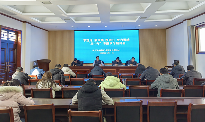 图片8.png