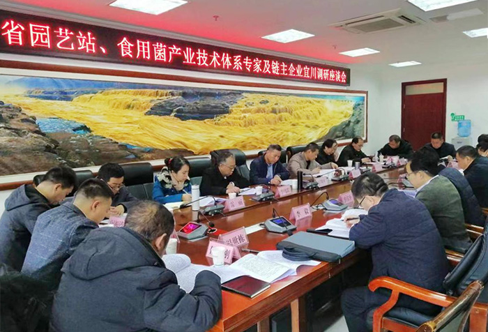 图片10.jpg