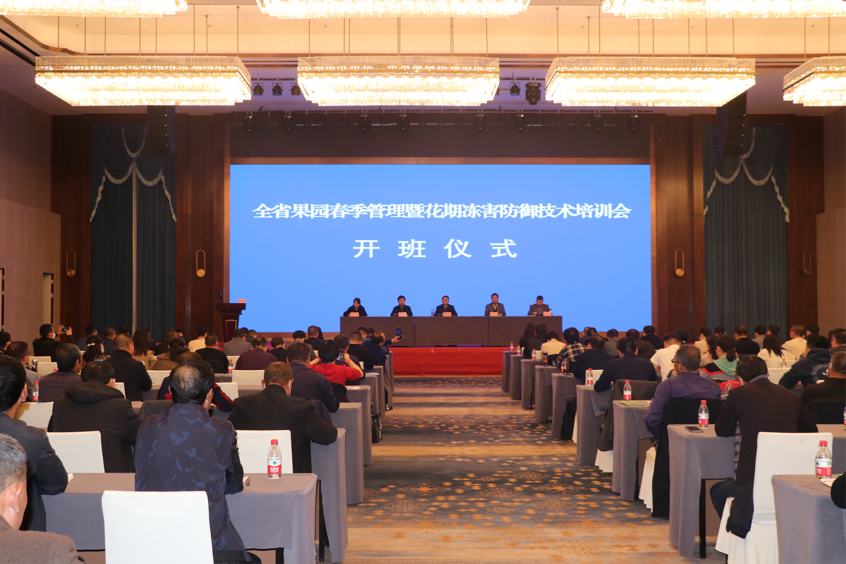 图片17.png
