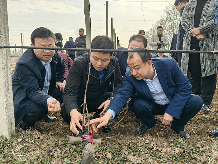 微信图片_20230331123330.jpg