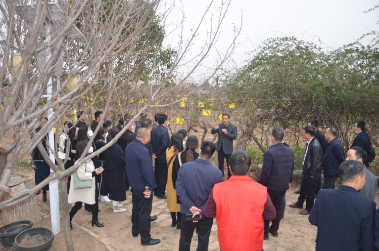 3现场观摩_副本.jpg