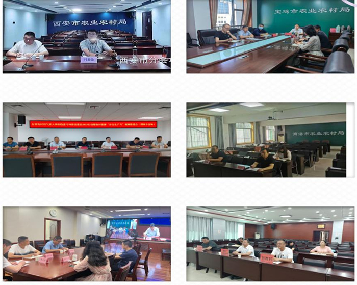 图片10.jpg