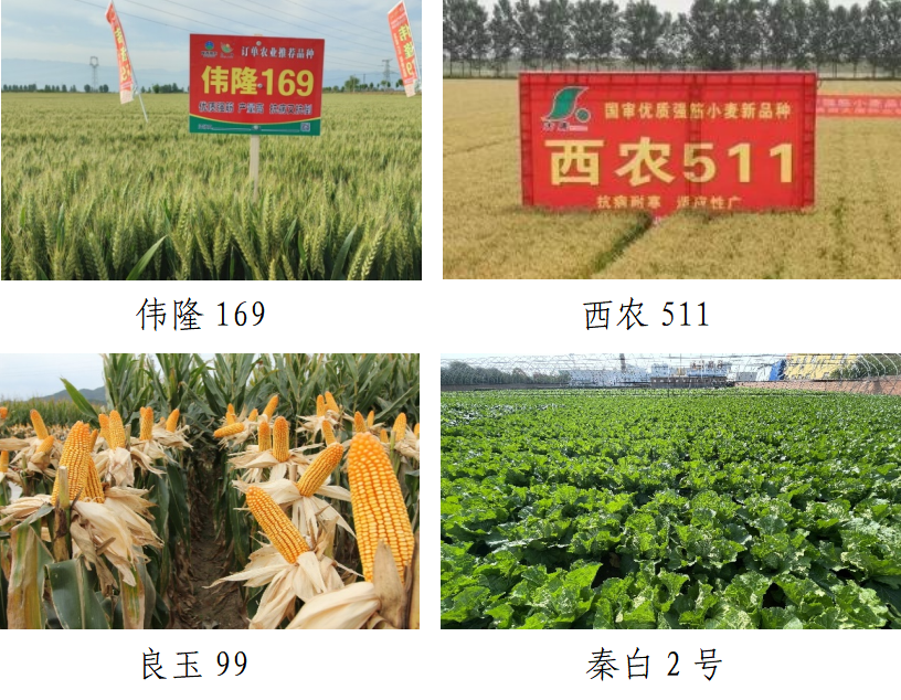 微信图片_20230616144629.png