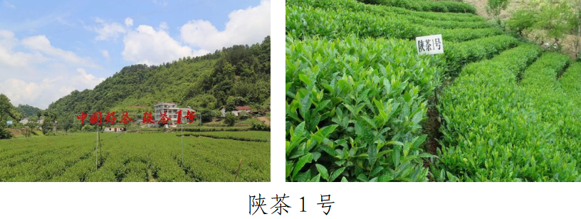 微信图片_20230619173218.png