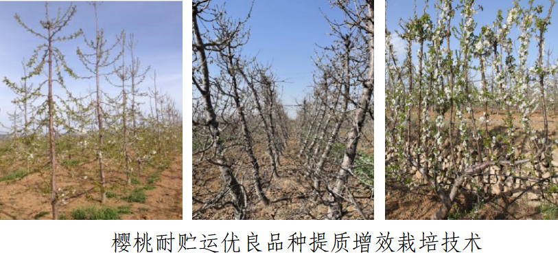 微信图片_20230616145042.png