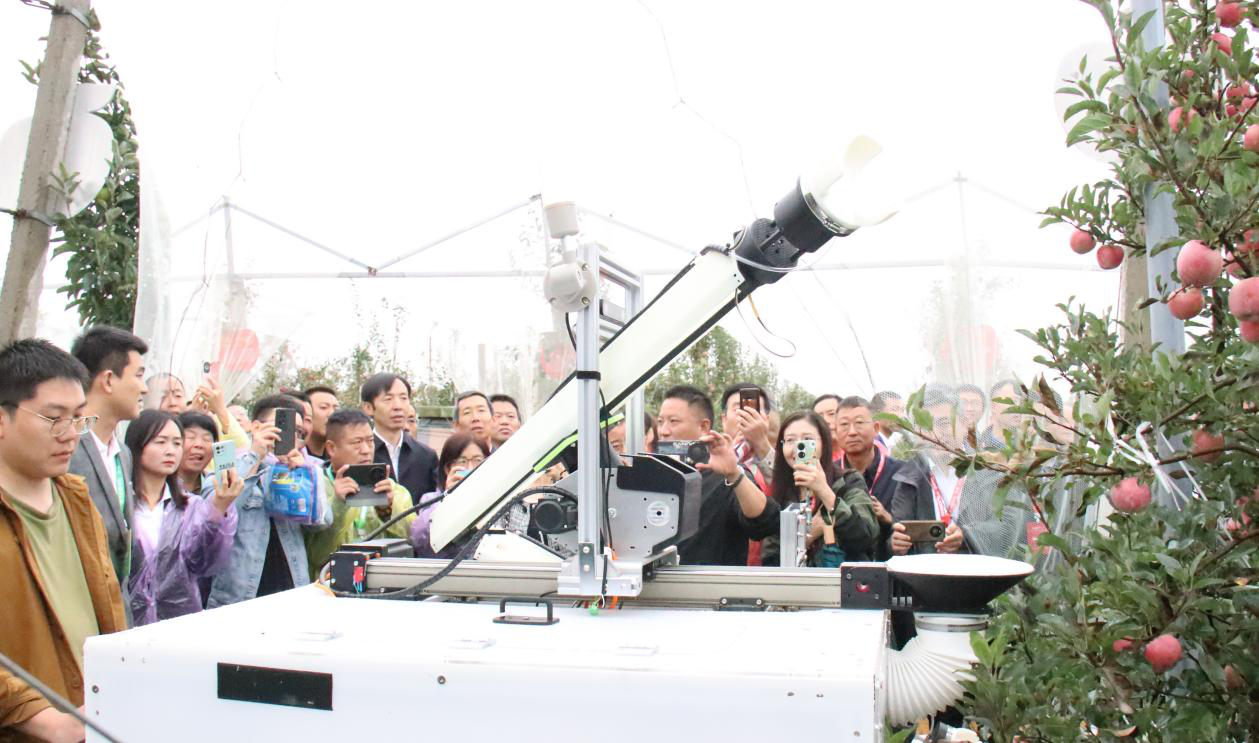 图片3.png
