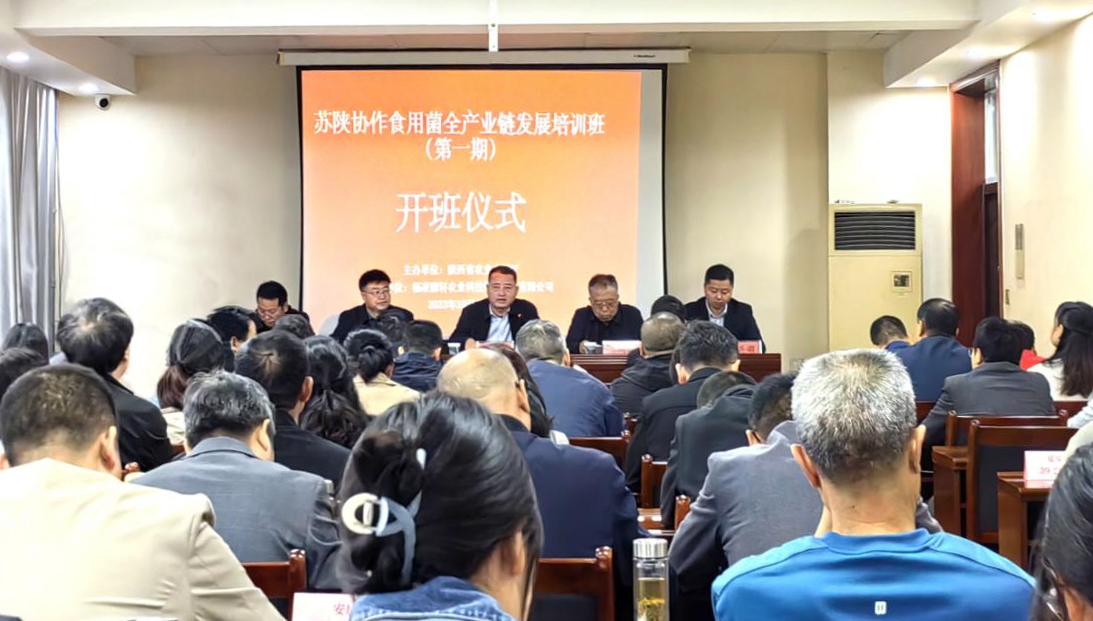 图片4b.jpg