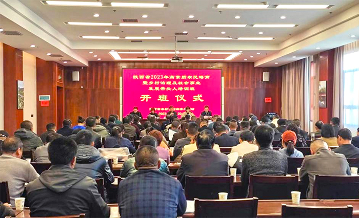 图片6.jpg