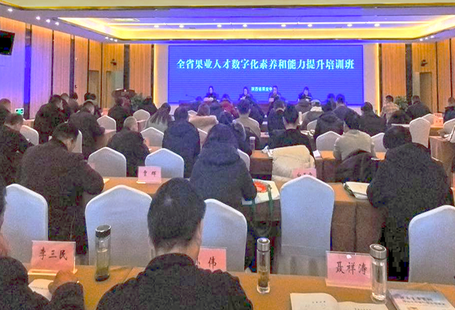 图片4bbb.jpg