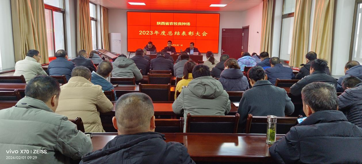 图片9.png