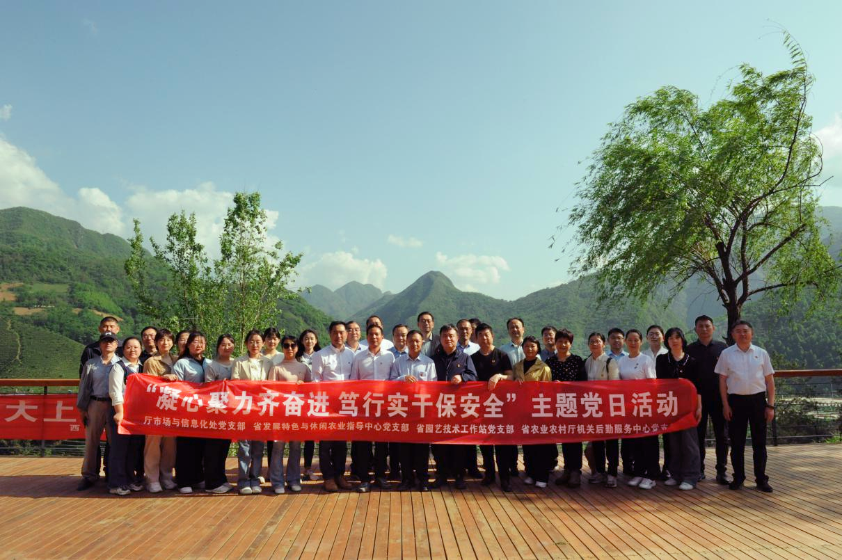 图片2.png