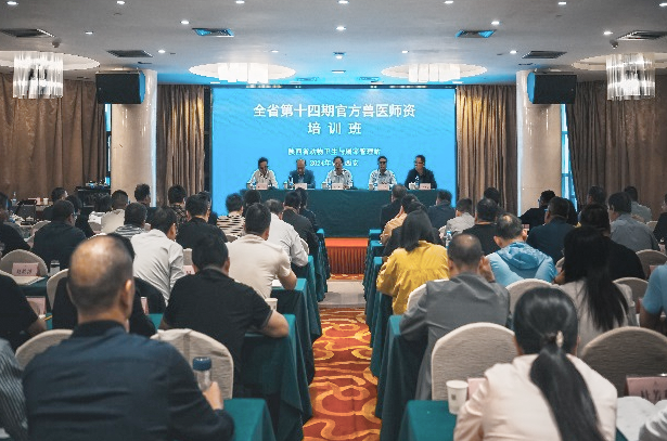 图片9n.png