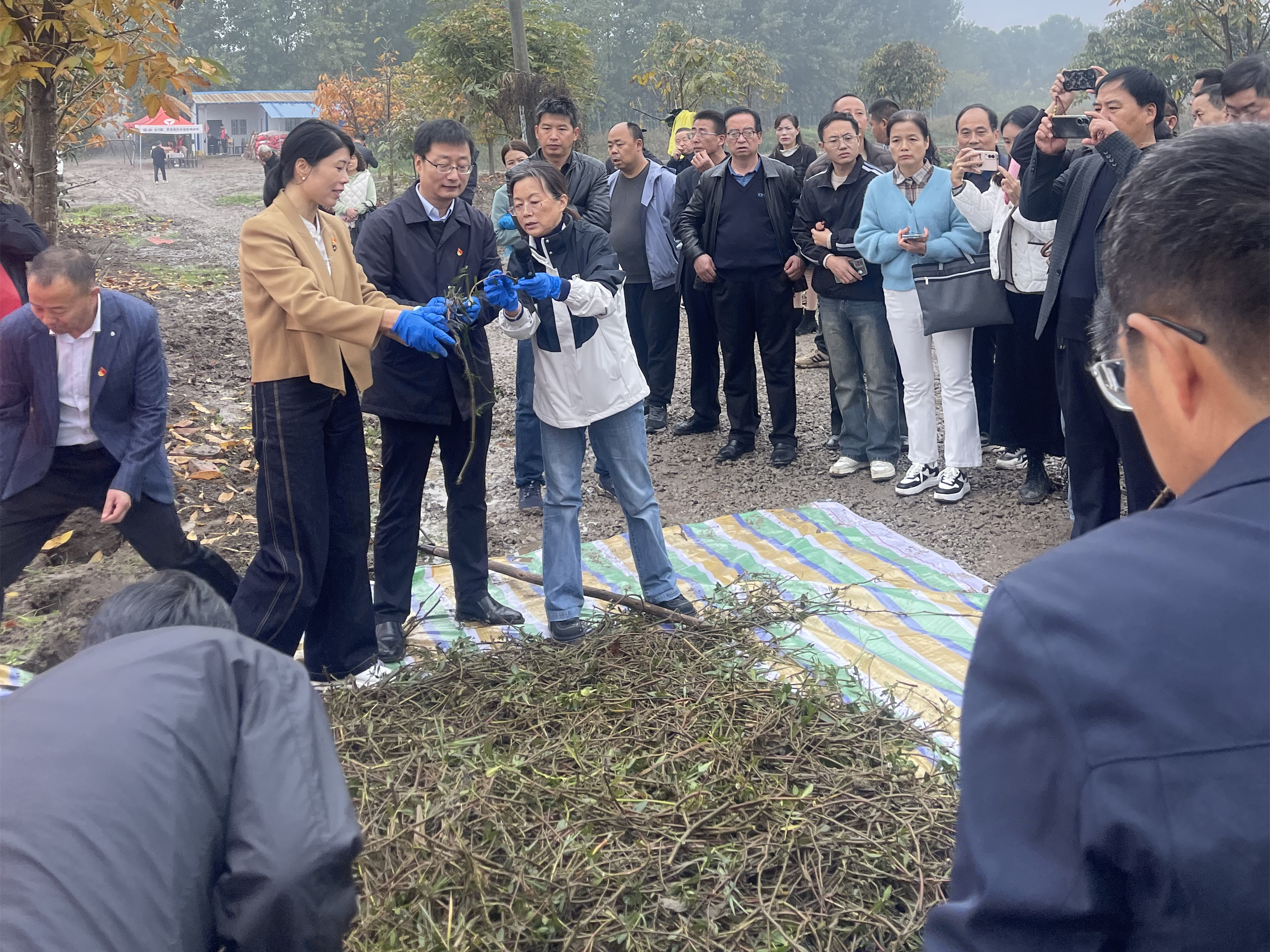 简讯20241101--全省外来水生物种防控技术现场演示会在宝鸡眉县举办_doc_1730770882396_1.jpg