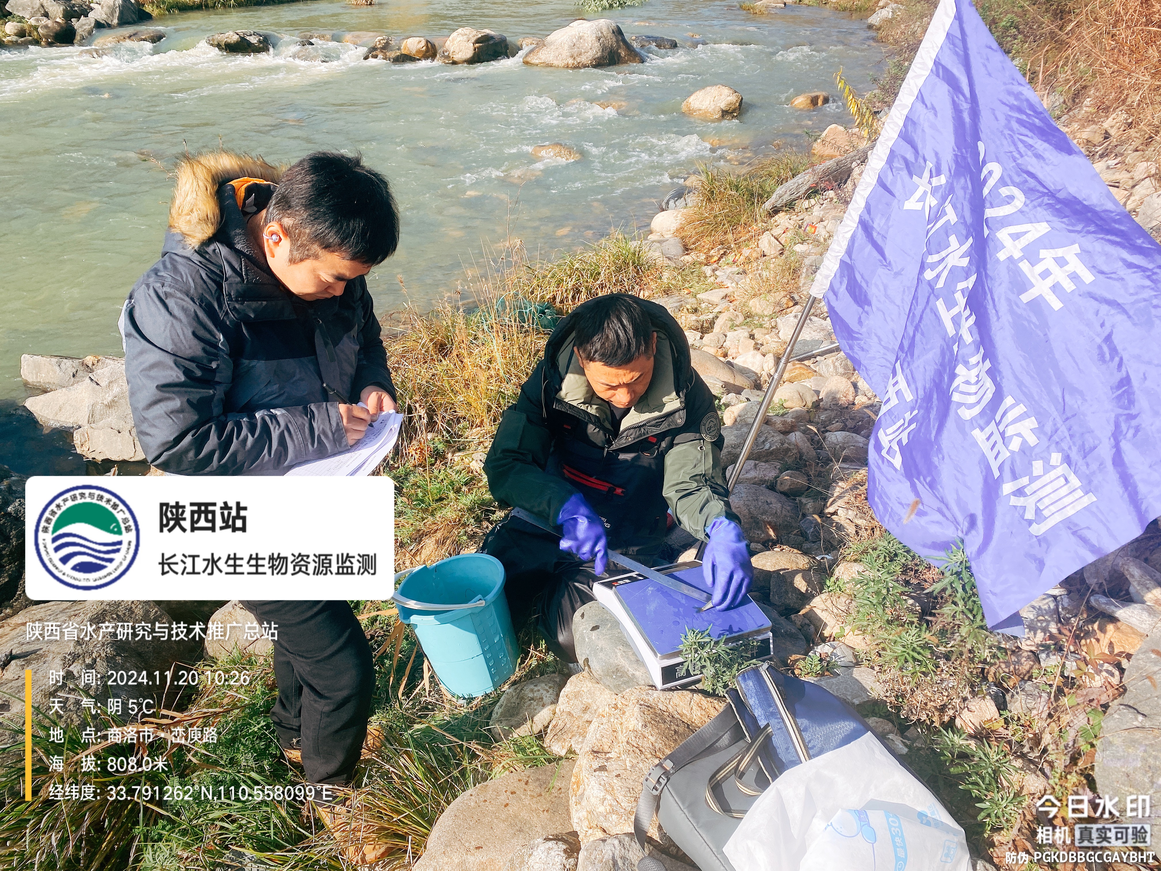 简讯20241126--省水产总站完成2024年长江水生生物资源监测任务 (1)_doc_1732707870040_1.jpg