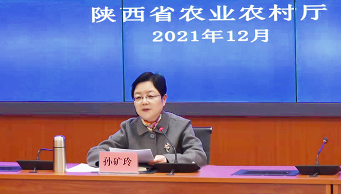 孙厅长5.jpg