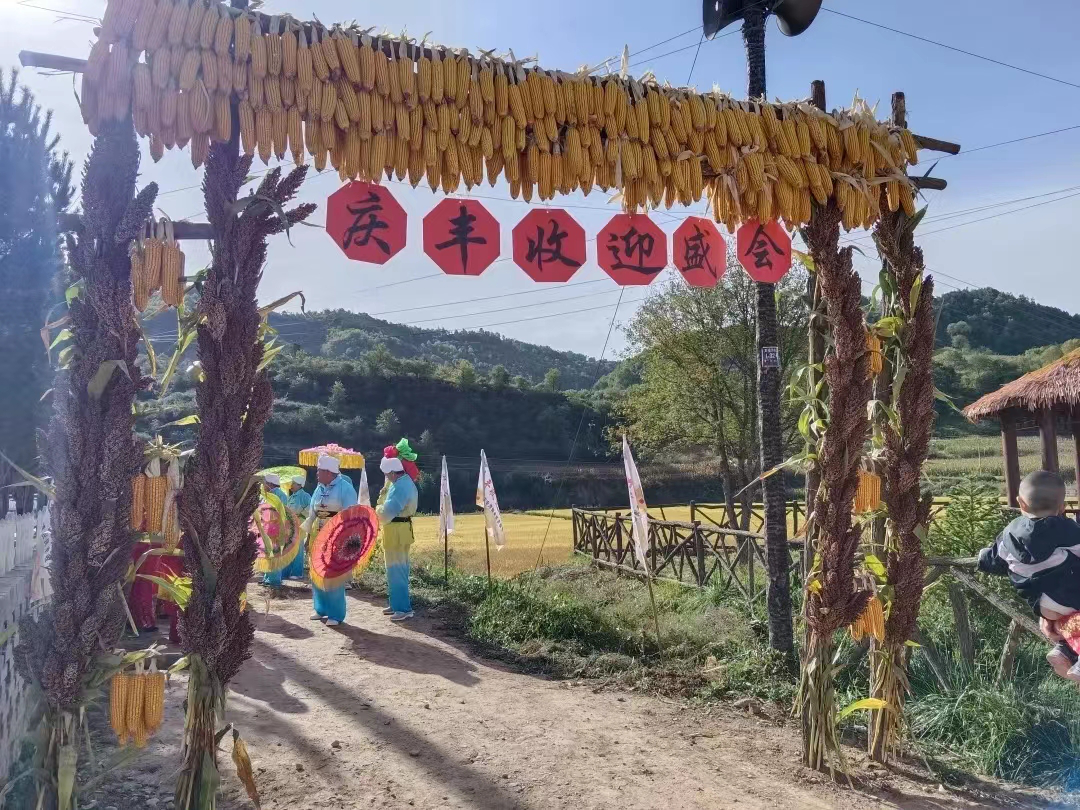 图片8.png