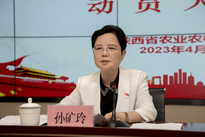 孙厅长.jpg