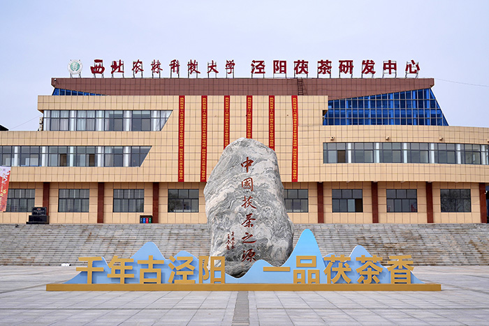 6.泾阳茯茶创业园.jpg