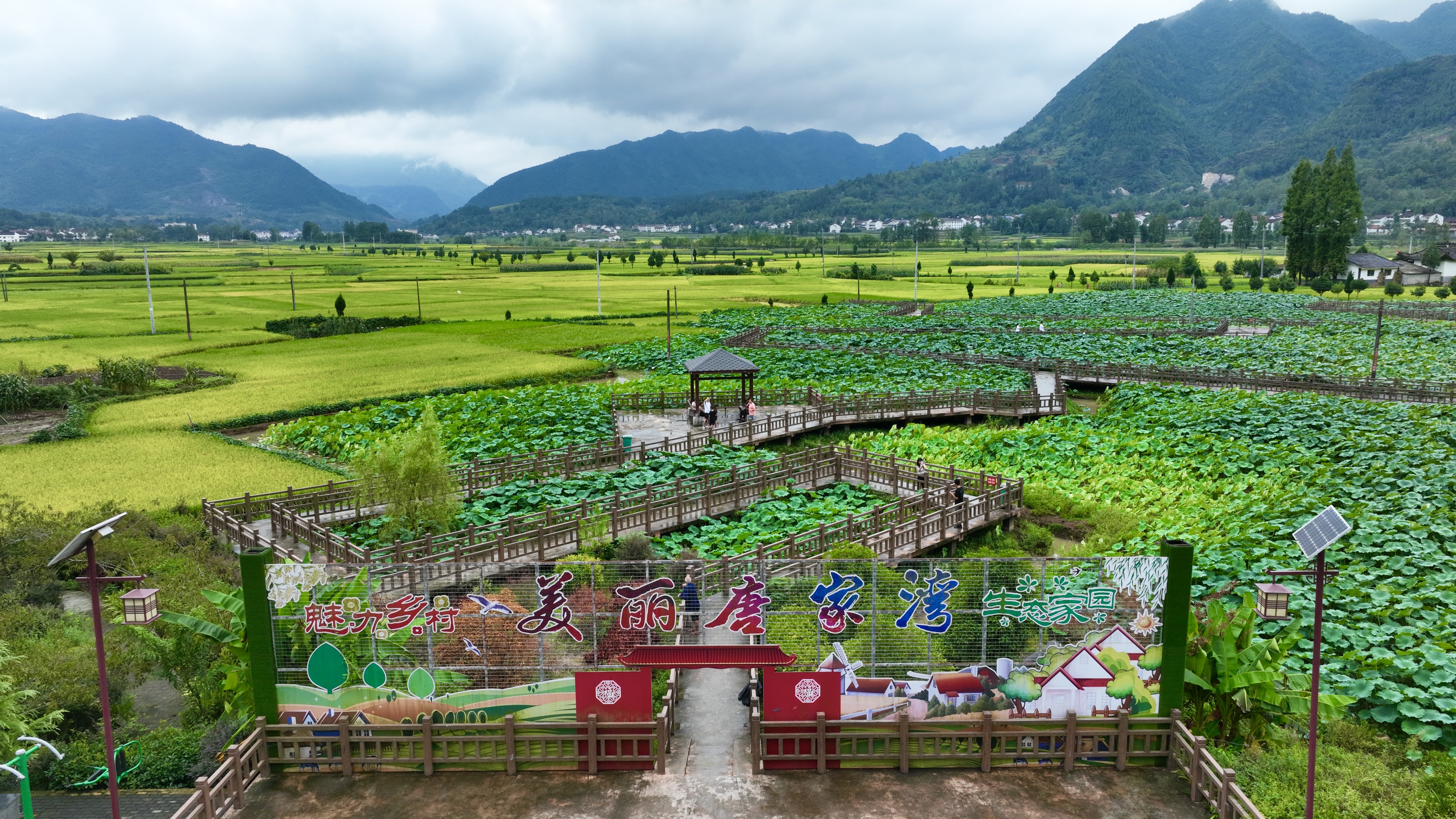15.唐家湾村休闲观光区.jpg