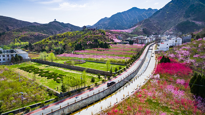 31.桃花谷观光区.jpg