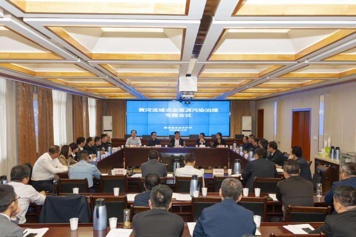 图片4b.png