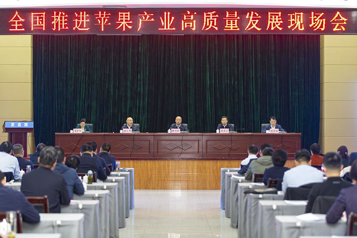 图片15.png