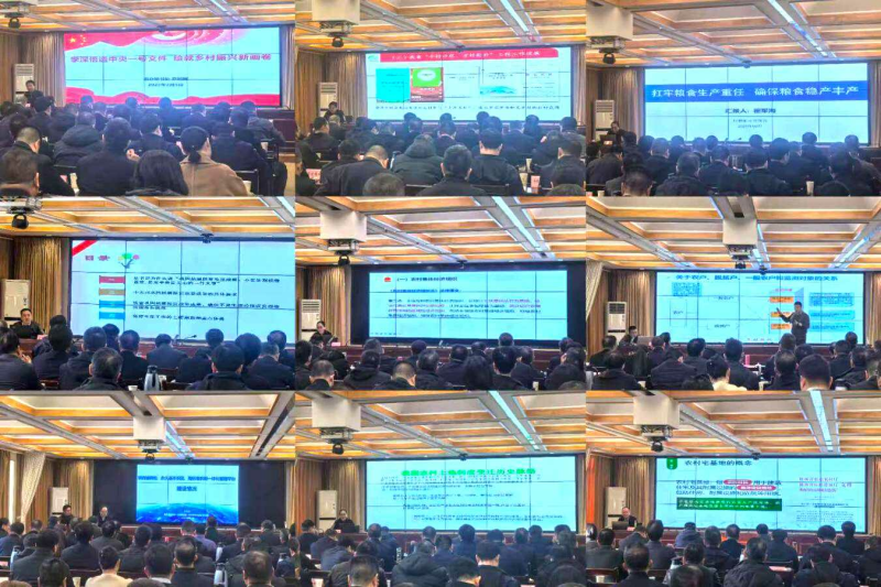 图片1bj.png