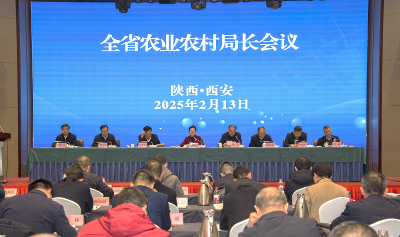 图片1a.jpg