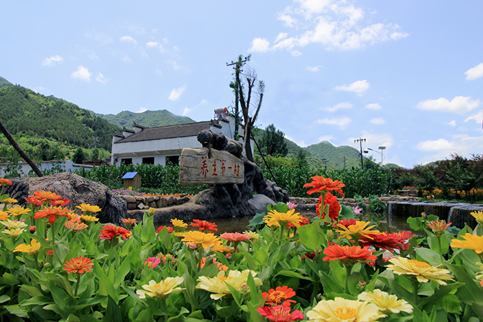 2.宝鸡市养生第一村永生村.jpg