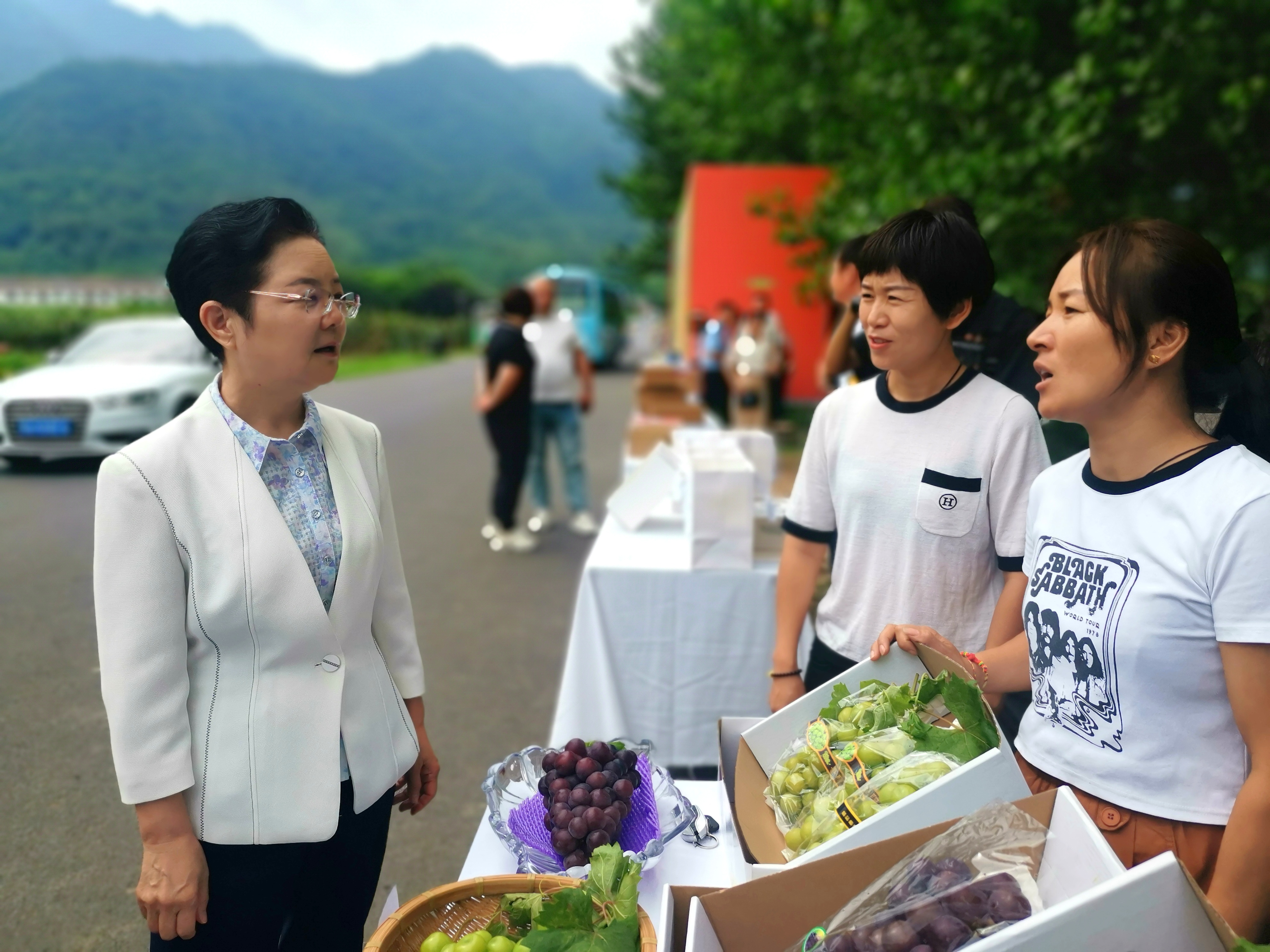 厅长在鄠邑区调研新闻稿0816_doc_1723881377984_0.jpg